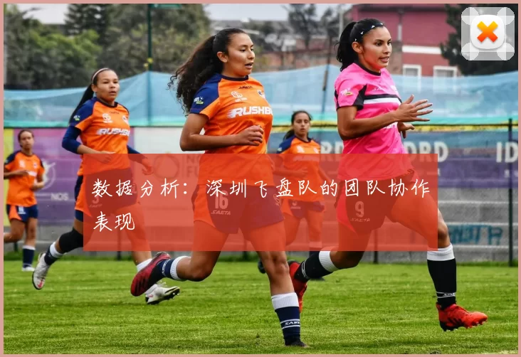数据分析：深圳飞盘队的团队协作表现