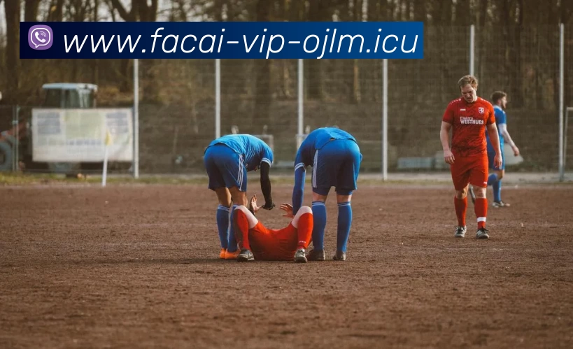 乐鱼体育服务体系